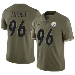 Limited Men's David Anenih Pittsburgh Steelers Nike 2022 Salute To Service Jersey - Olive