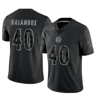 Limited Youth Matt Galambos Pittsburgh Steelers Nike Reflective Jersey - Black