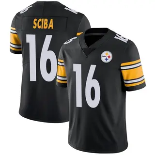 Limited Youth Nick Sciba Pittsburgh Steelers Nike Team Color Vapor Untouchable Jersey - Black